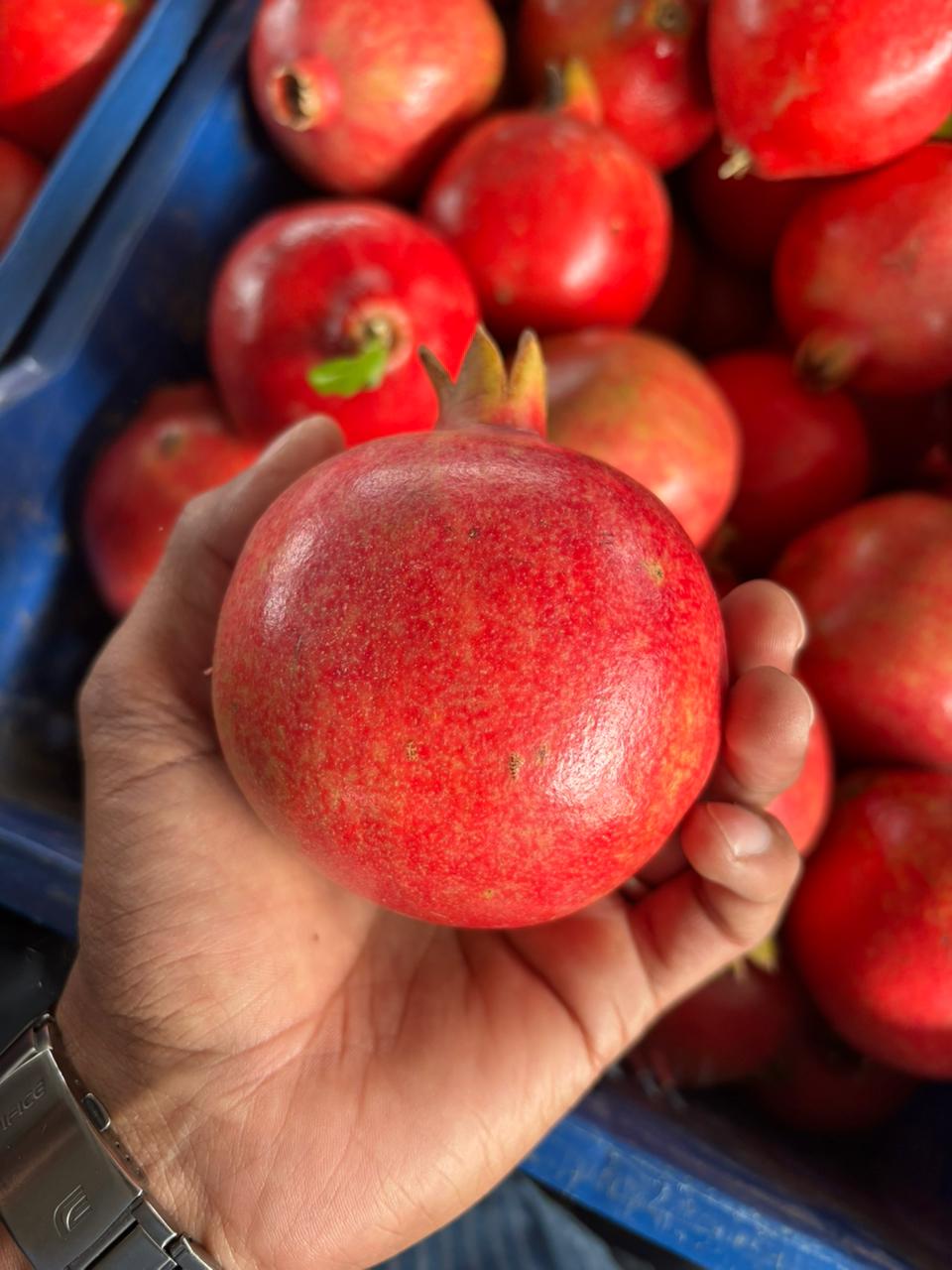 fruits exporters in chennai