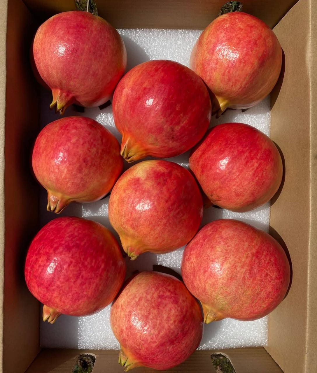 fruits exporters in chennai