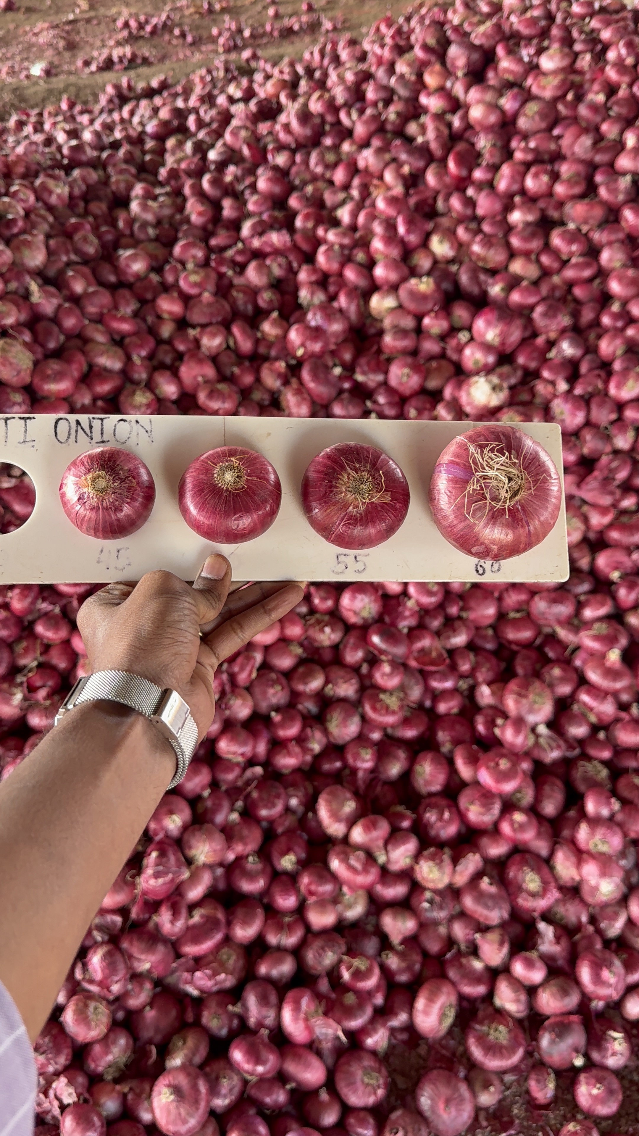 fruits exporters in chennai