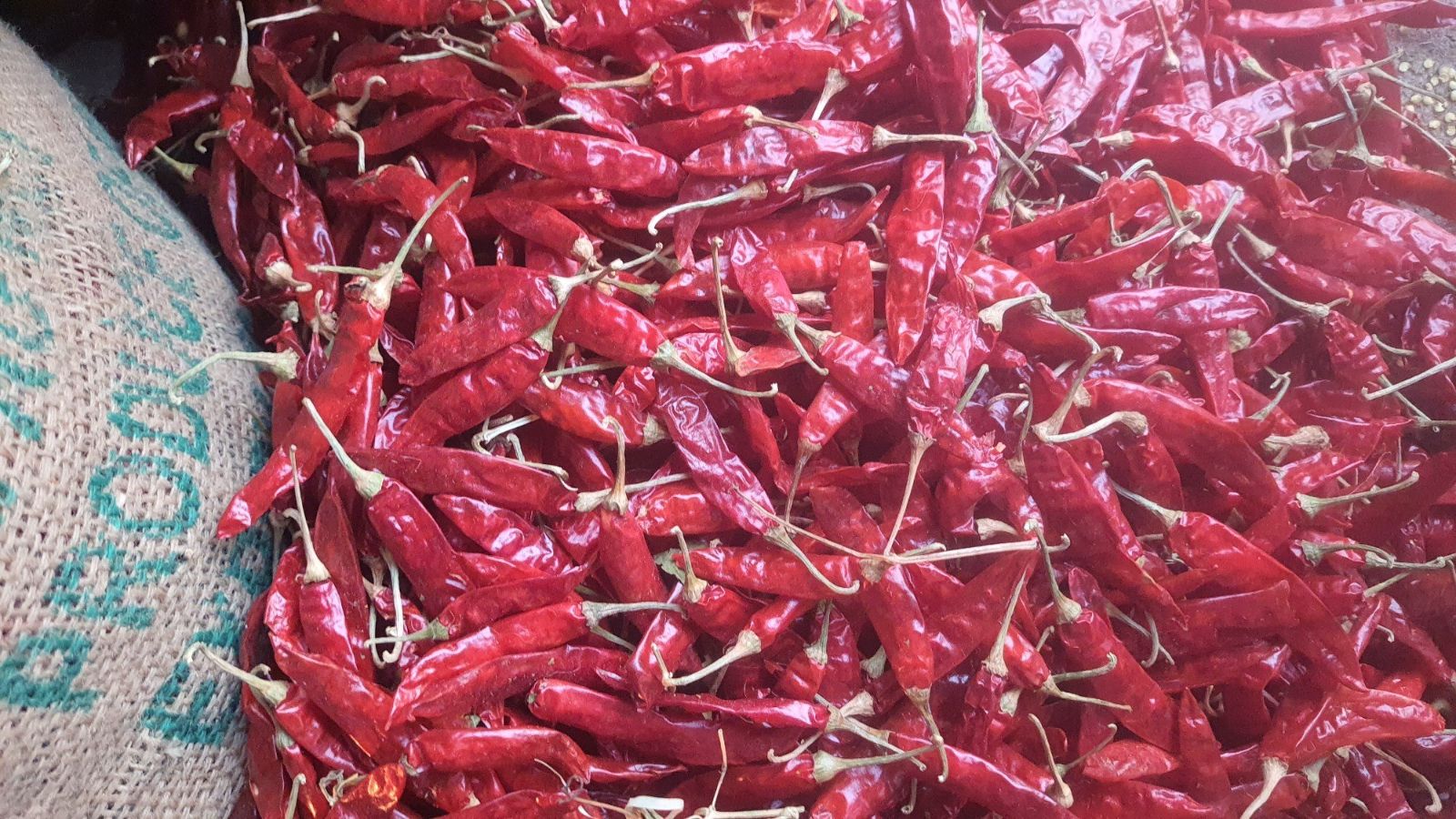 spices exporters in chennai